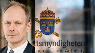 Jan Tibbling, Ekobrottsmyndigheten, momskaruseller