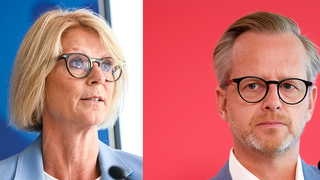 Elisabeth Svantesson (M) och Mikael Damberg (S). Foto (montage): TT