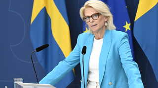 Regeringens hemliga skatteutredning: "Beställningsjobb"
