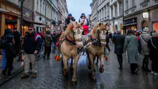 polen