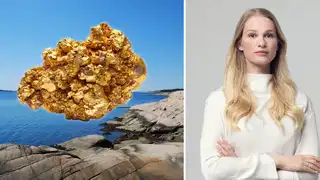 Anna Svahn om guldpriset