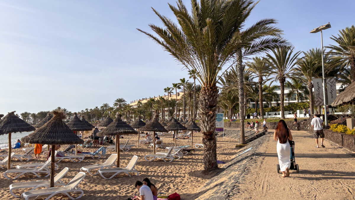 Playa del Camison på Teneriffa. Arkivbild.